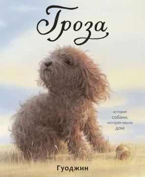 Гроза: история собаки, которая нашла дом