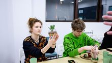 Флорариум своими руками 6+