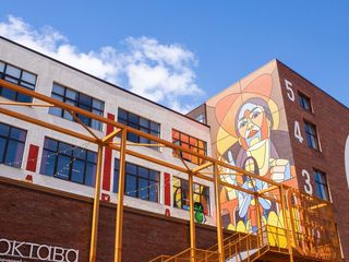 Октава представила опыт устойчивого развития в исследовании Школы управления СКОЛКОВО